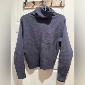 Babaton turtle neck sweater